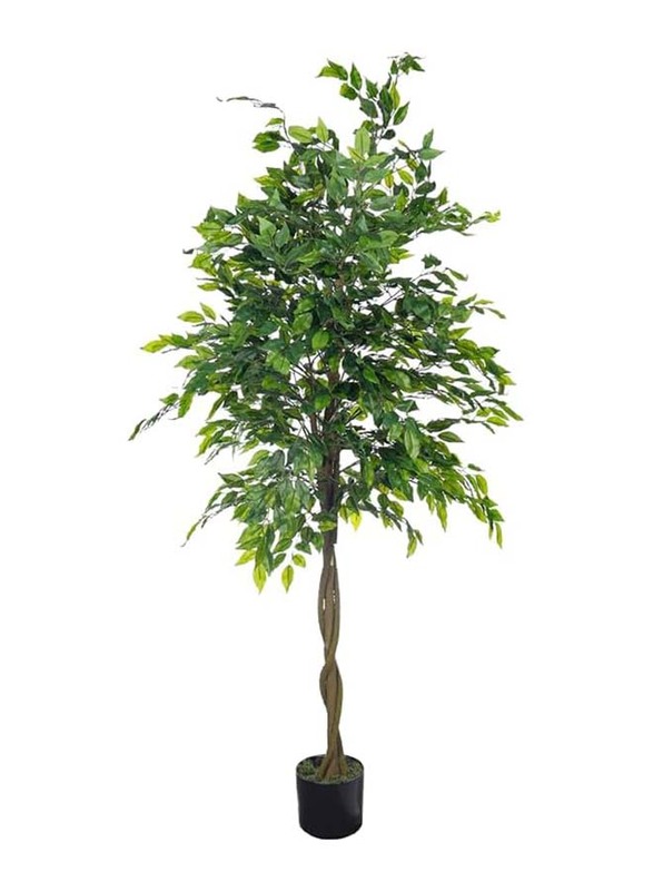 Nearly Natural Real Touch Artificial Phyco Plant, 90 x 90 x 180cm, Green/Brown