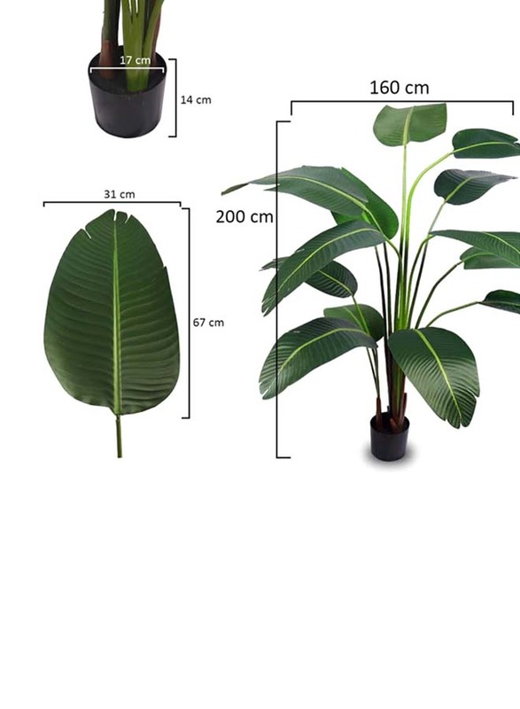 Nearly Natural Real Touch Artificial Banana Leaf Plant, 160 x 160 x 200cm, Green