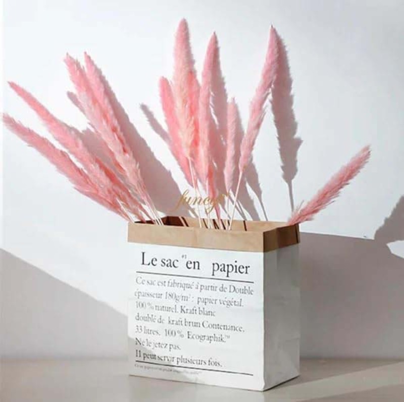 Beautiful Dried Pampas Stems for Weddings & Home Decorations, 5 Pieces Light Pink