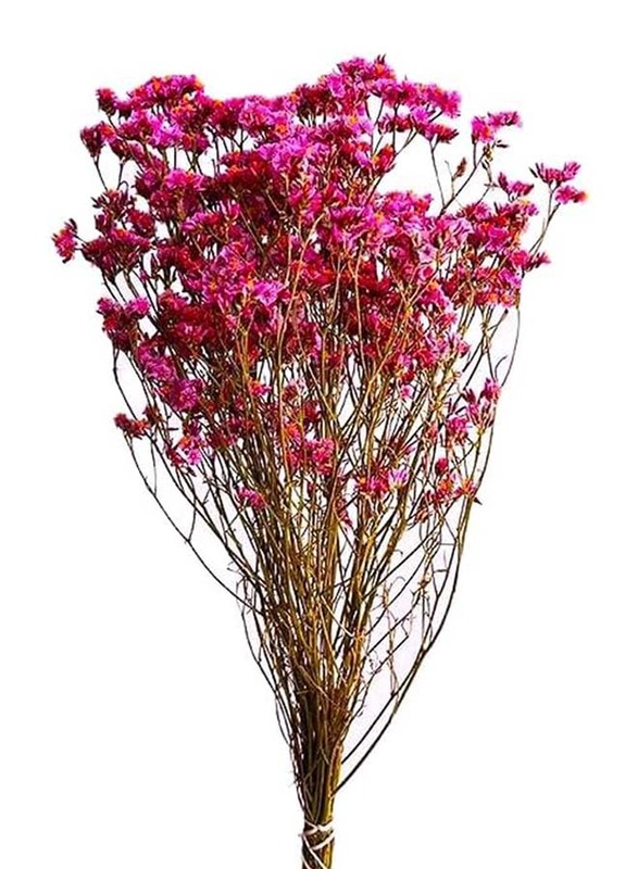 Real Dry Limonium Flower Bunch with Many Stem, 30 x 30 x 60cm, Fuschia