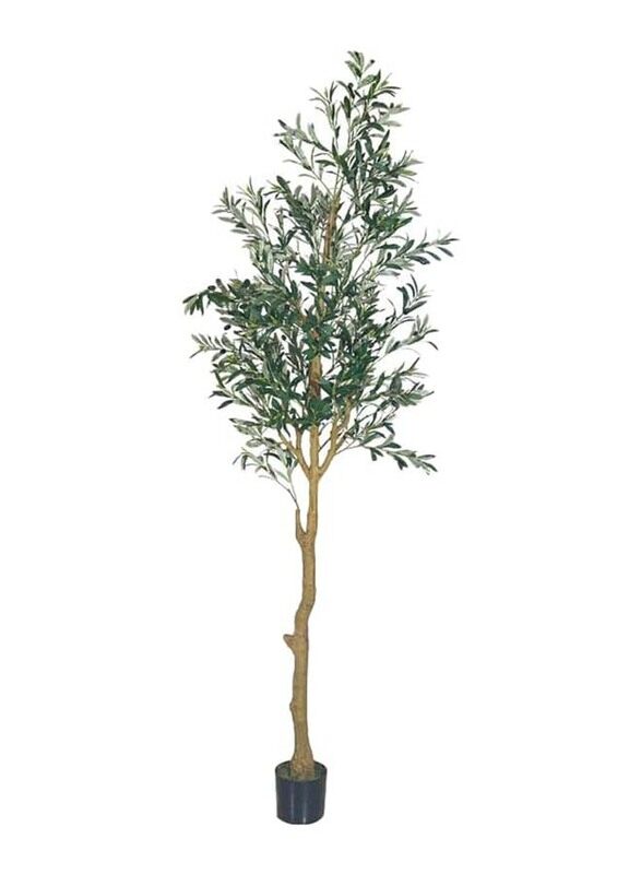 

Generic Nearly Natural Real Touch Artificial Olive Plant, 90 x 90 x 240cm, Green/Brown