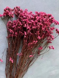 Real Dry Limonium Flower Bunch with Many Stem, 30 x 30 x 60cm, Fuschia