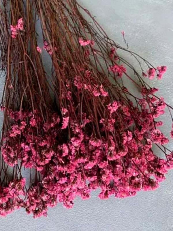 Real Dry Limonium Flower Bunch with Many Stem, 30 x 30 x 60cm, Pink