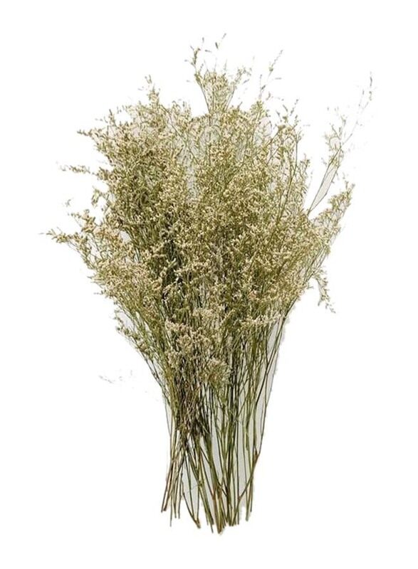 

Generic Caspia Dry Flower Sea Lavender, 70 x 70 x 80cm, White