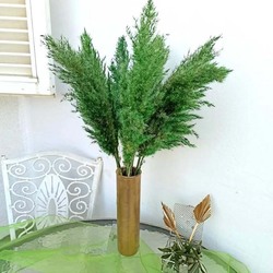 Real Dry Pampas Flower with Long Stem, 70 x 40 x 150cm, Green