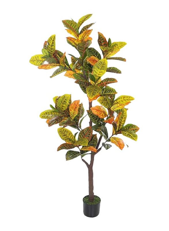 Nearly Natural Real Touch Artificial Croton Plant, 80 x 80 x 160cm, Green/Brown