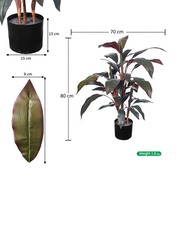 Nearly Natural Real Touch Artificial Cordyline-Fruticosa-Excelsa-Plant, 70 x 70 x 80cm, Green/Brown