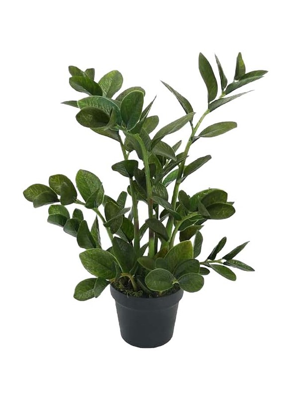 

Generic Nearly Natural Real Touch Artificial Zamiifolia, 50 x 50 x 75cm, Green/Brown