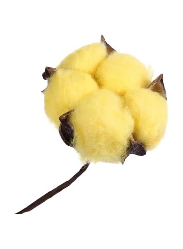 Dried Cotton Flowers for Weddings & Home Decorations, 5 Pieces, Yellow