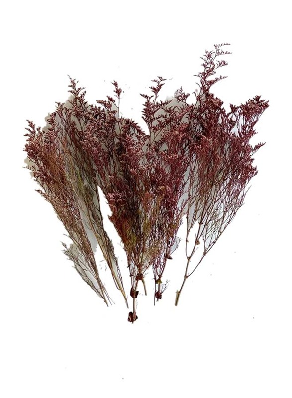 Dry Flower Sea Lavender, 70 x 70 x 80cm, Fuschia