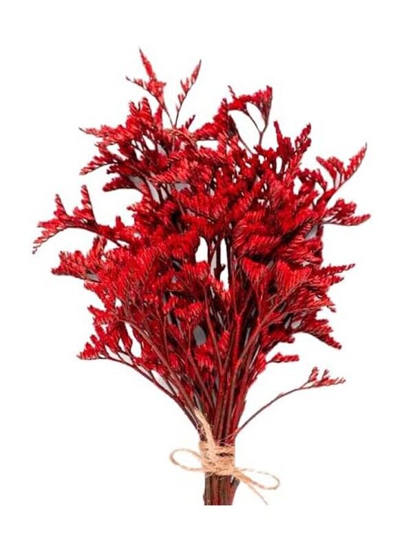 

Generic Real Dry Limonium Flower Bunch with Many Stem, 30 x 30 x 60cm, Red