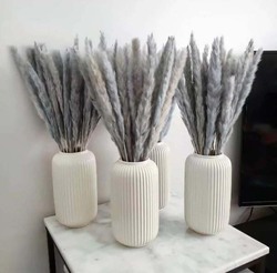 Beautiful Dried Pampas Stems for Weddings & Home Decorations, 5 Pieces, Grey