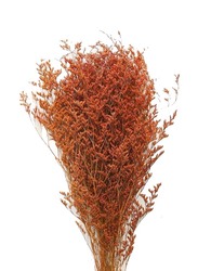 Caspia Dry Flower Sea Lavender, 70 x 70 x 80cm, Orange