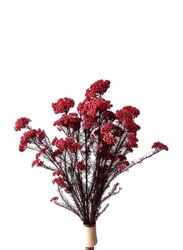 Real Dry Rice Flower with Stem, 60 x 60 x 80cm, Red