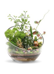 Cut Bowl Glass Vase, 16.8 x 19.1 x 18.5cm, Transparent