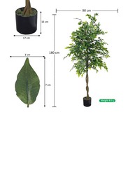 Nearly Natural Real Touch Artificial Phyco Plant, 90 x 90 x 180cm, Green/Brown