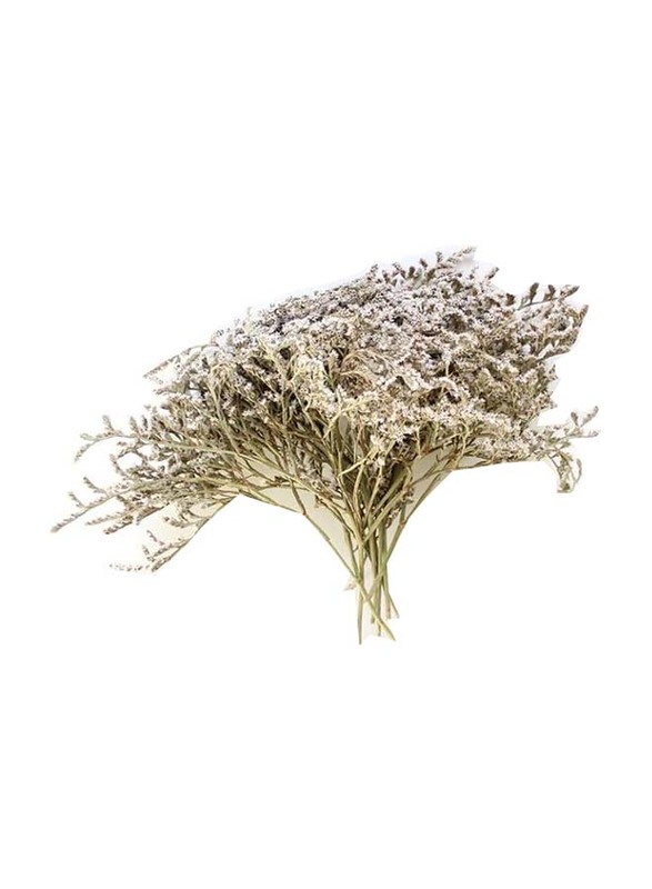 Real Dry Limonium Flower Bunch with Many Stem, 30 x 30 x 60cm, White