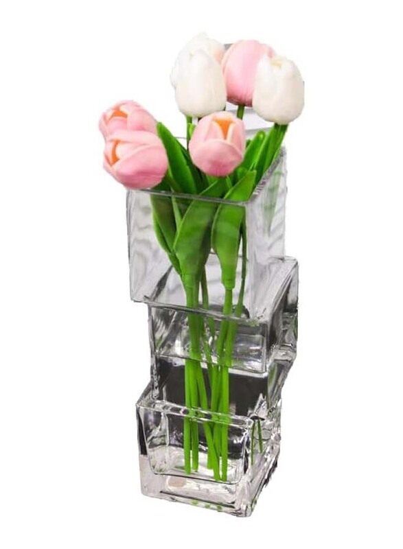 

Generic Square Glass Vase, 27 x 27 x 9cm, Transparent