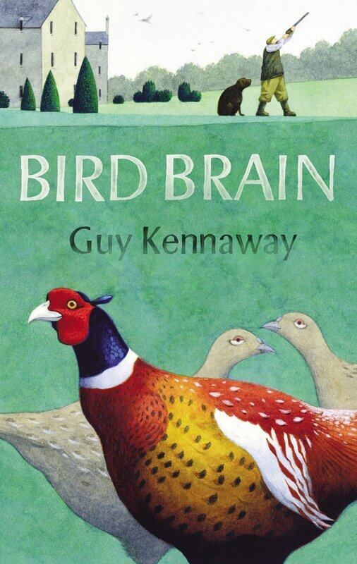 

Bird Brain