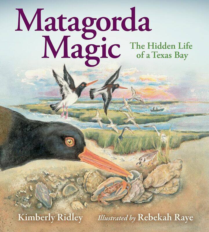 

Matagorda Magic: The Hidden Life of a Texas Bay