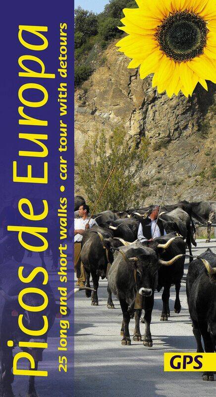 

Picos de Europa Guide: 25 long and short walks with detailed maps and GPS; car tour with pull-out map