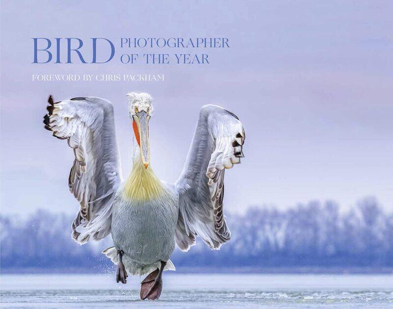 

Bird Photographer of the Year: Collection 4