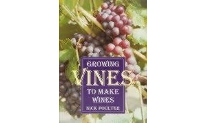 

Growing Vines to Make Wines