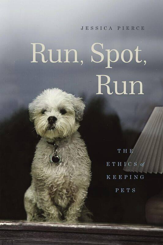 

Run, Spot, Run