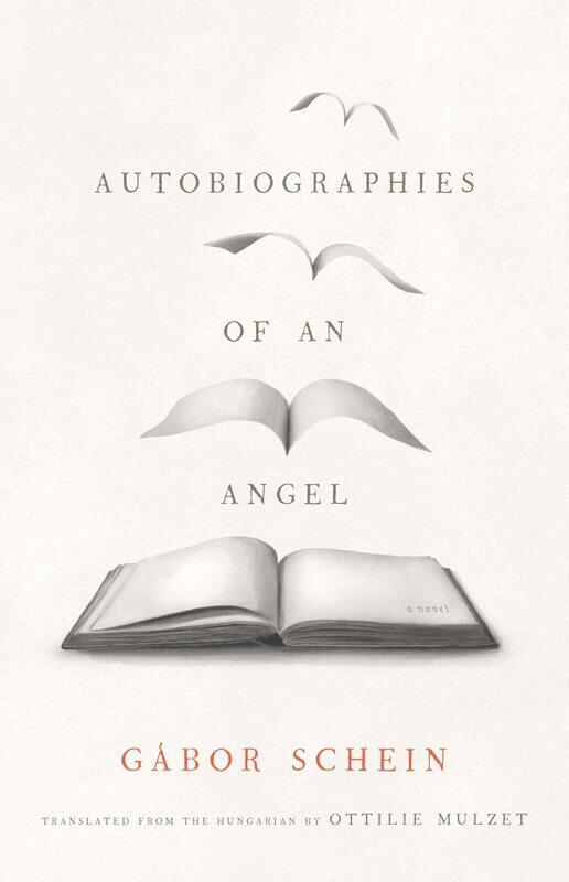 

Autobiographies of an Angel: A Novel