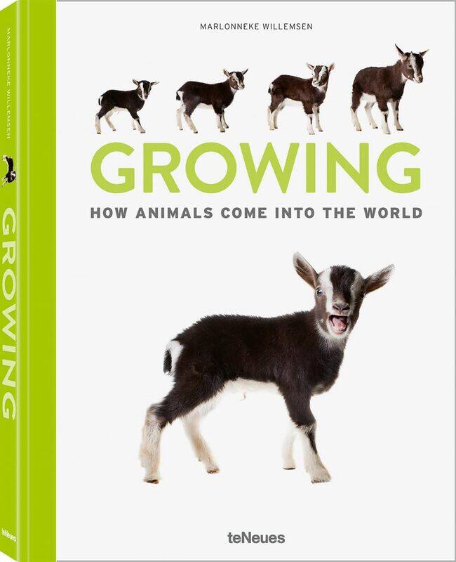 

Growing: How animals come into our world
