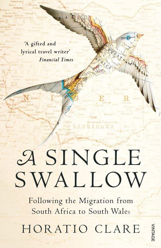 

A Single Swallow: Following An Epic Journey From South Africa To South Wales