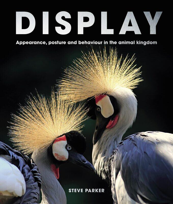 

Display: Appearance, posture and behaviour in the animal kingdom