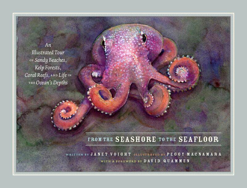 

From the Seashore to the Seafloor: An Illustrated Tour of Sandy Beaches, Kelp Forests, Coral Reefs, and Life in the Ocean's Depths