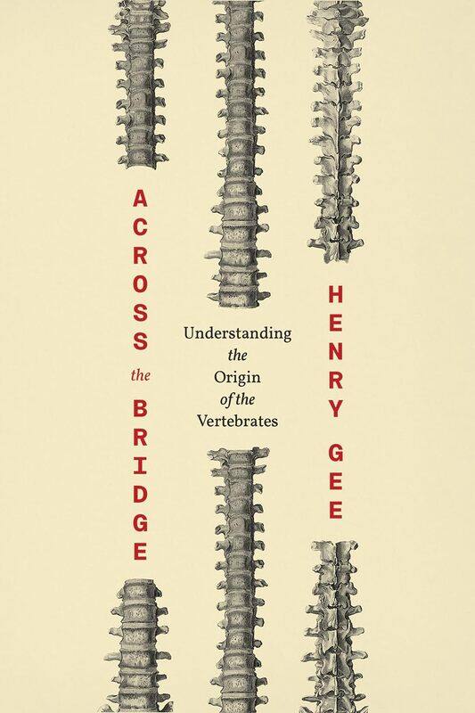 

Across the Bridge: Understanding the Origin of the Vertebrates