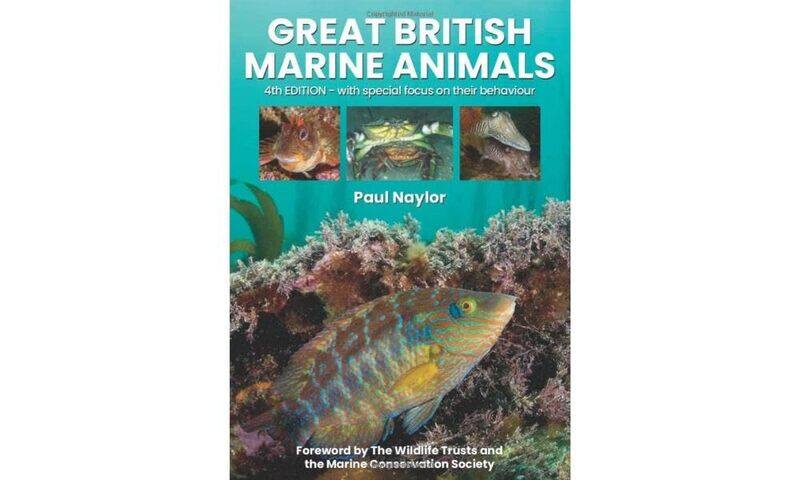 

Great British Marine Animals