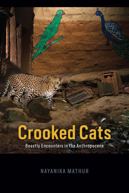 

Crooked Cats: Beastly Encounters in the Anthropocene