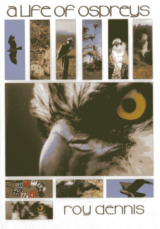 

A Life of Ospreys