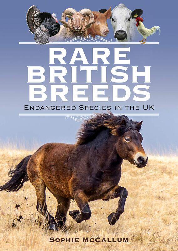 

Rare British Breeds: Endangered Species in the UK