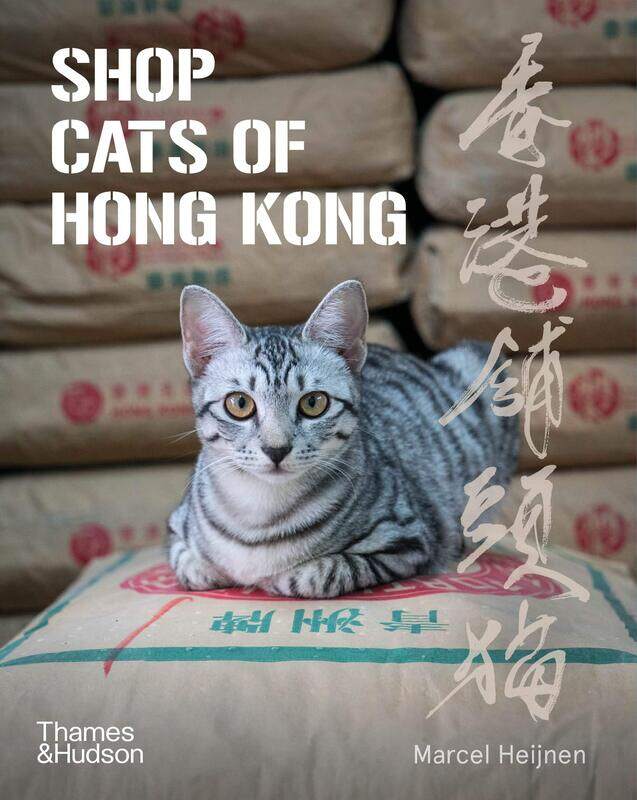 

Shop Cats of Hong Kong