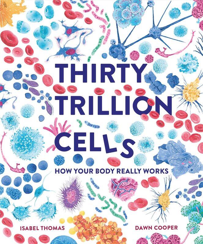 

Thirty Trillion Cells: How Your Body Really Works