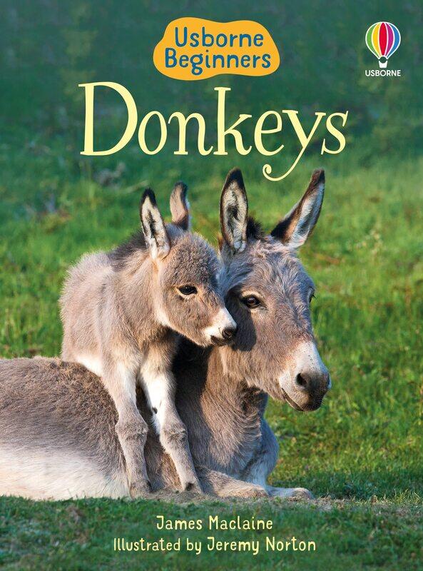 

Donkeys
