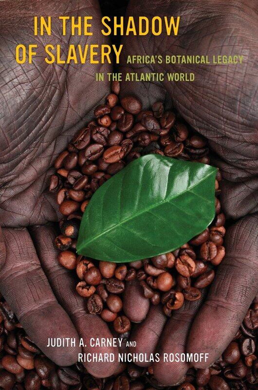 

In the Shadow of Slavery: Africa’s Botanical Legacy in the Atlantic World