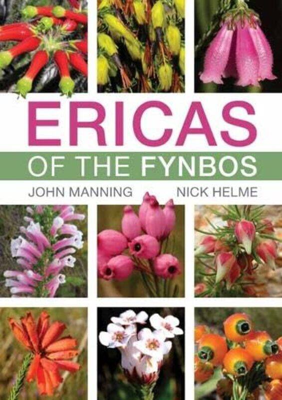 

Ericas of the Fynbos