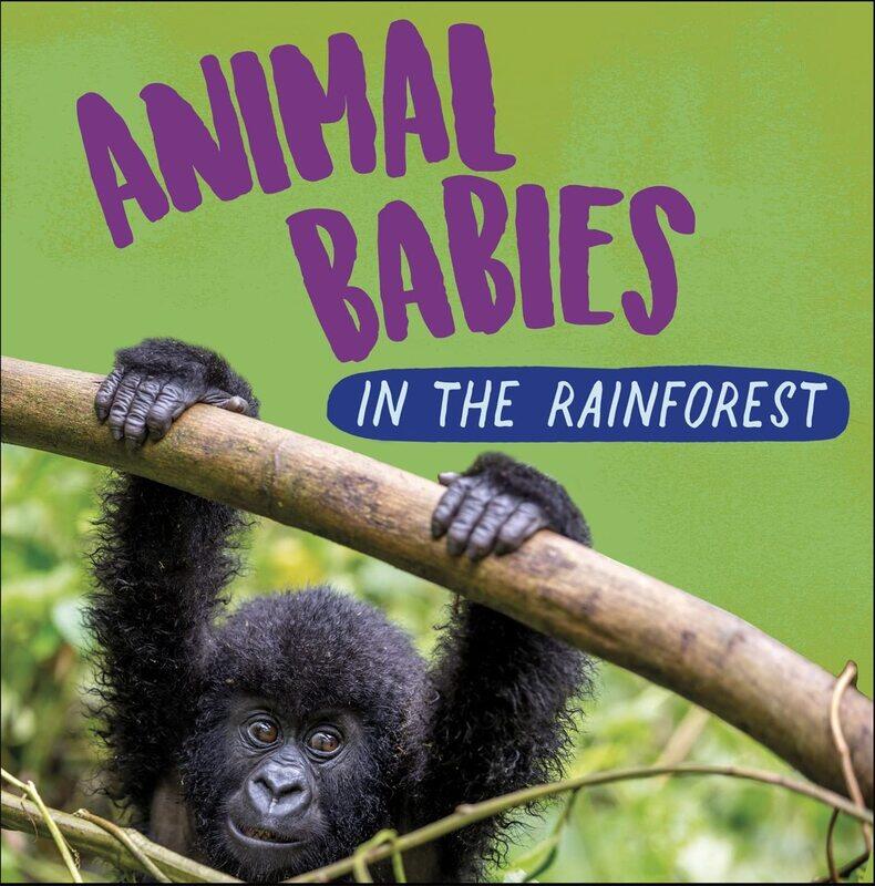 

Wayland Animal Babies: In the Rainforest