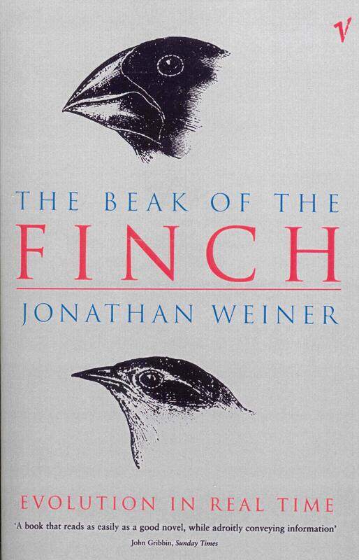 

The Beak Of The Finch
