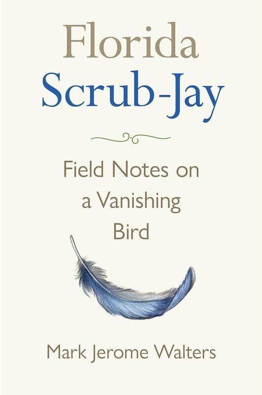 

Florida Scrub-Jay: Field Notes on a Vanishing Bird