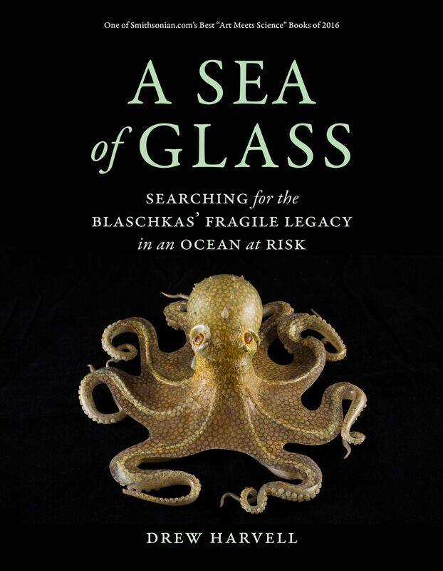 

A Sea of Glass: Searching for the Blaschkas' Fragile Legacy in an