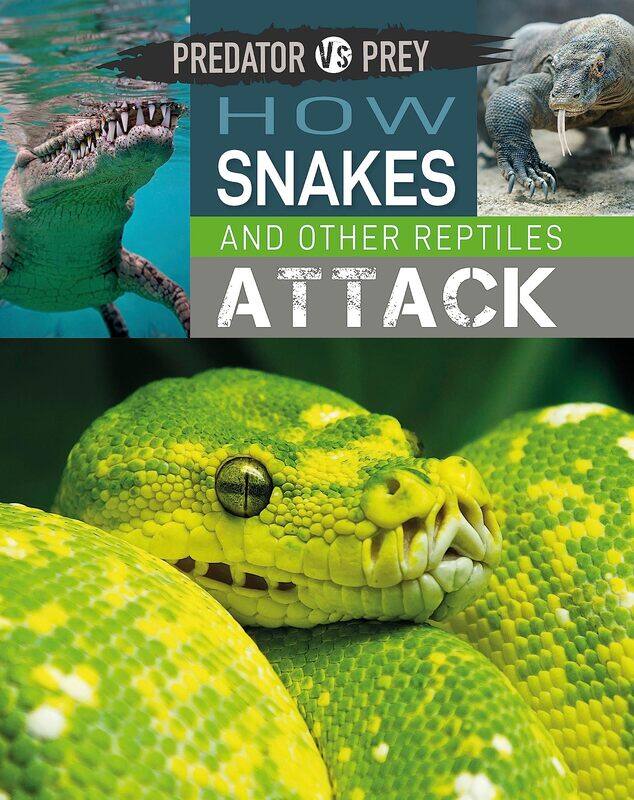 

Predator Vs Prey: How Snakes and Other Reptiles Attack!