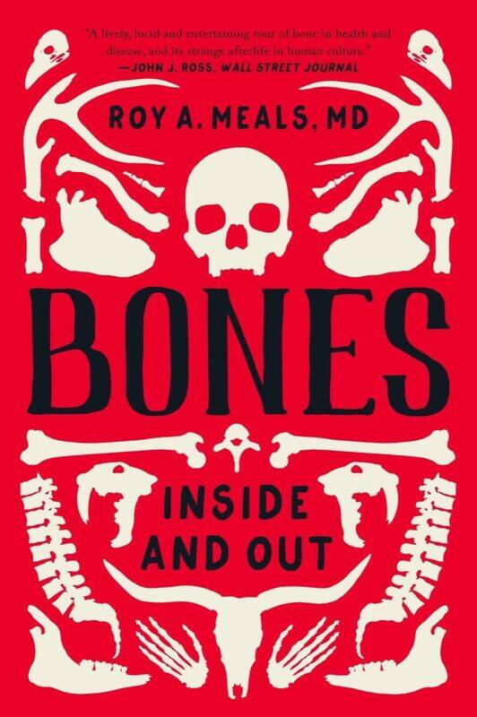 

Bones: Inside and Out
