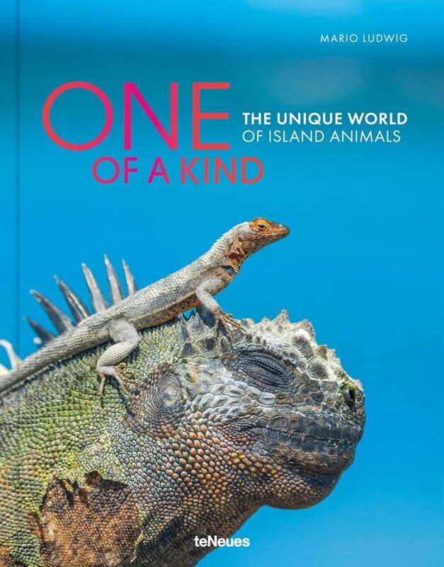 

One of a Kind: The Unique World of Island Animals